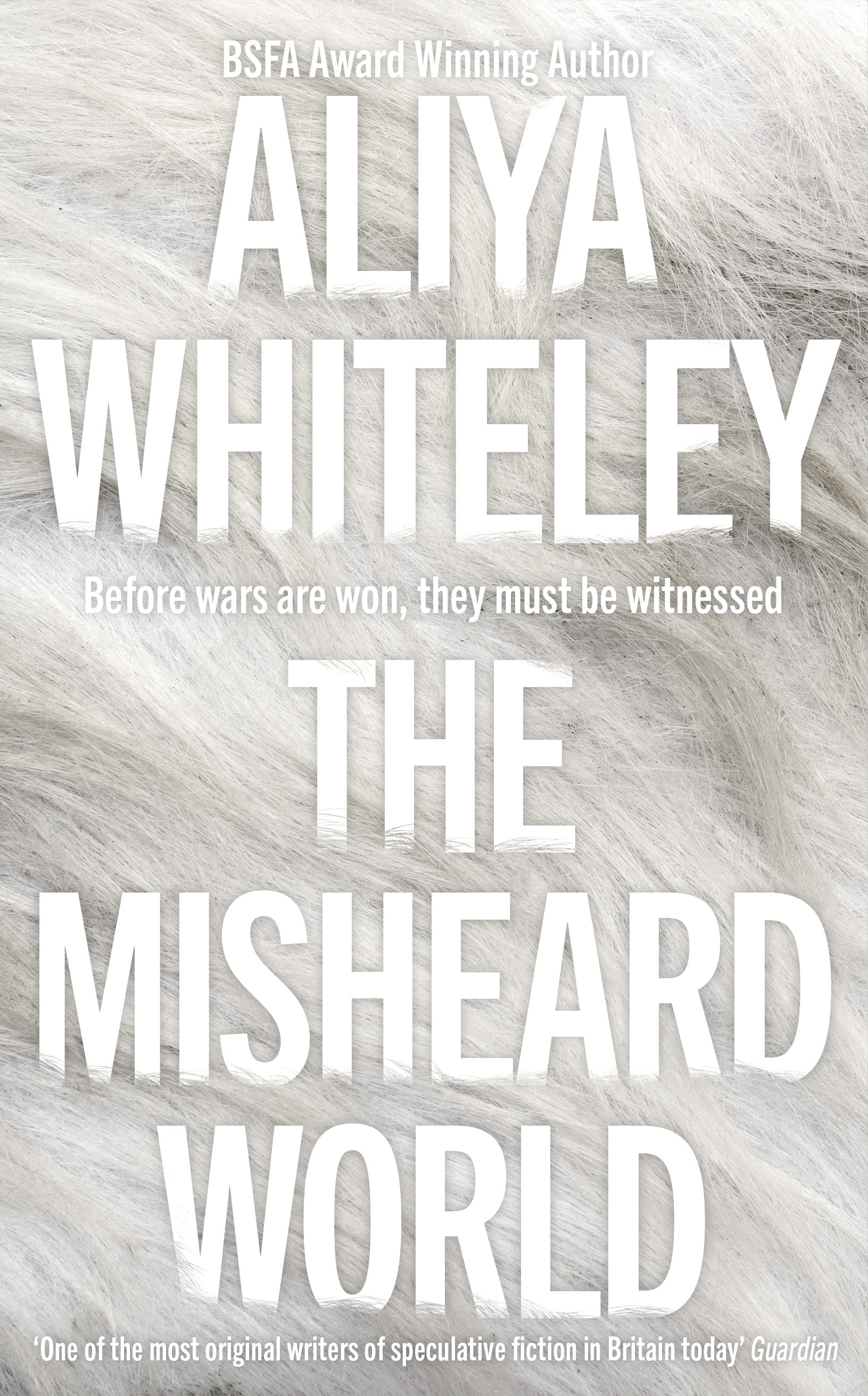 Book cover: The Misheard World